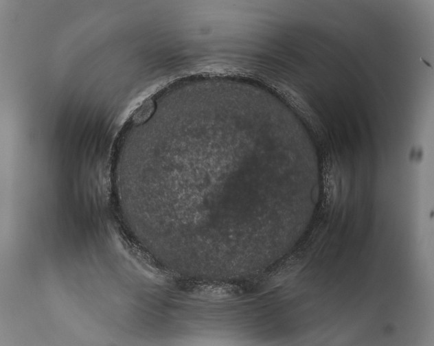 X0000111630488200907311231