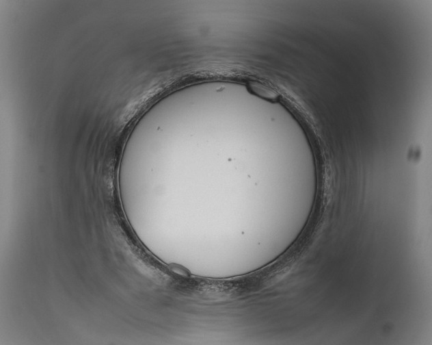 X0000111630489200907311231