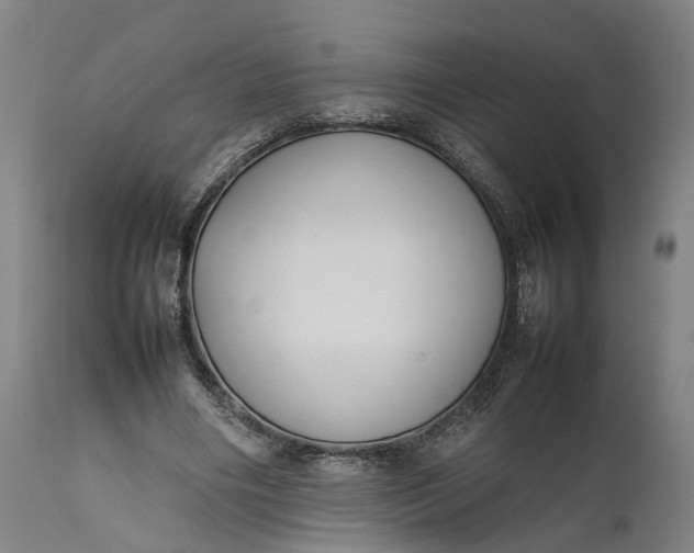 X0000111630490200907311231