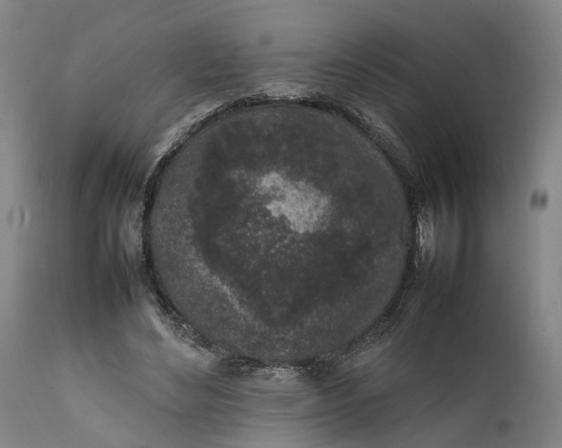 X0000111630492200907311231