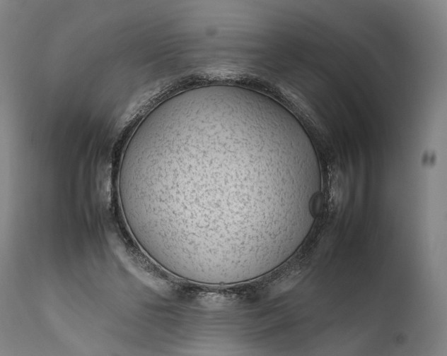 X0000111630494200907311231