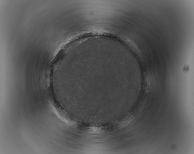 X0000111630496200907311231