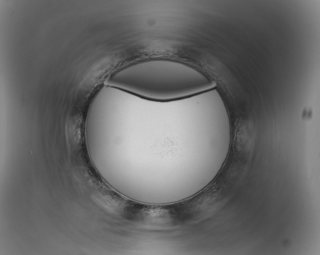 X0000111630501200907311230