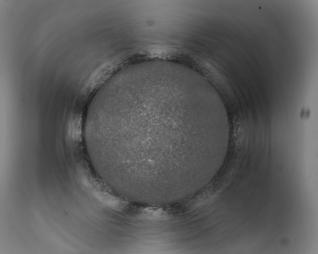 X0000111630502200907311230