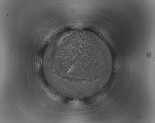 X0000111630503200907311230