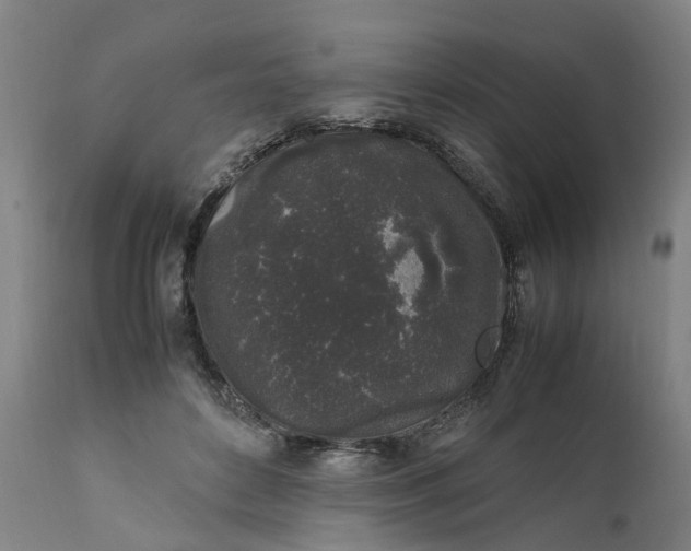 X0000111630504200907311230