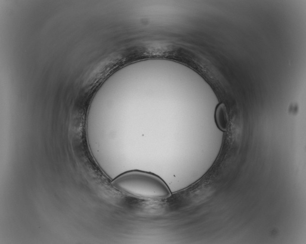 X0000111630505200907311230