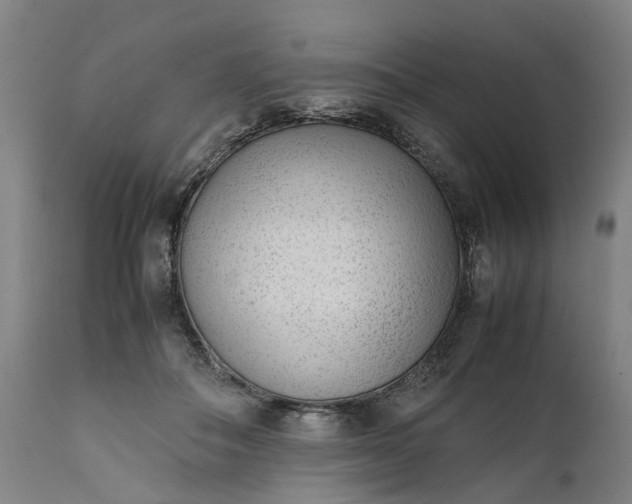 X0000111630506200907311230