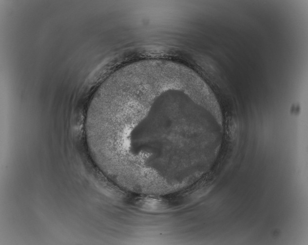 X0000111630507200907311230