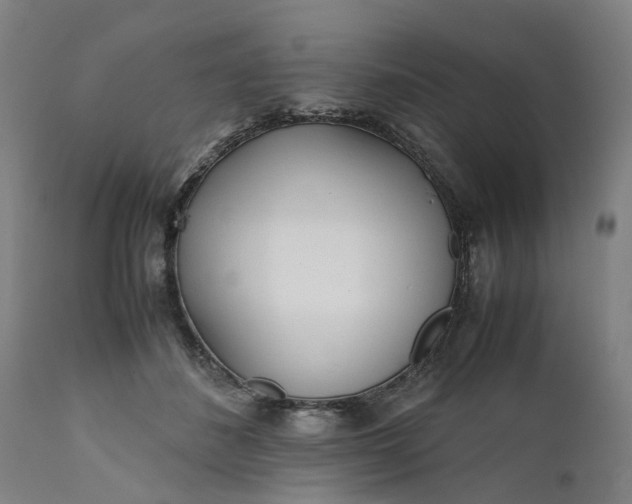 X0000111630508200907311230