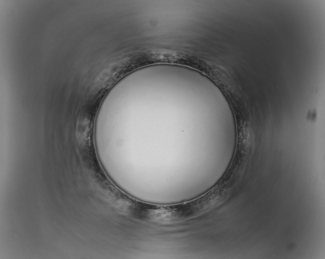 X0000111630511200907311230