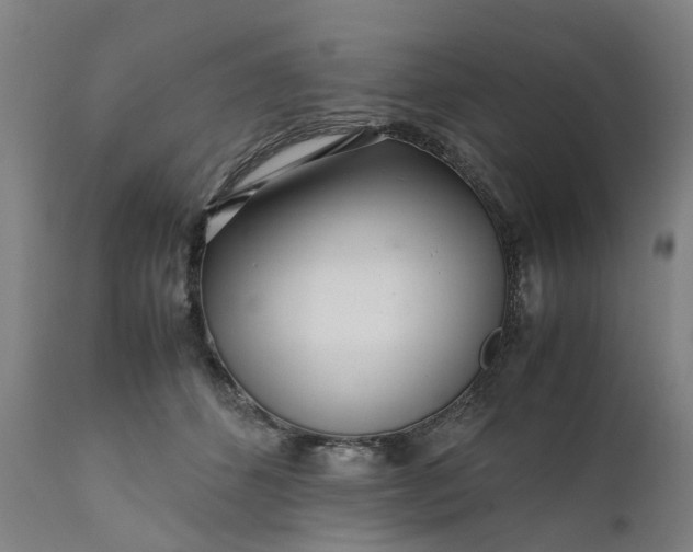 X0000111630512200907311230