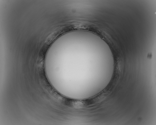 X0000111630513200907311230