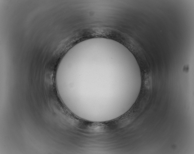 X0000111630514200907311230