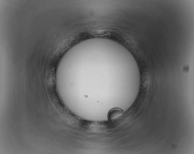 X0000111630515200907311230