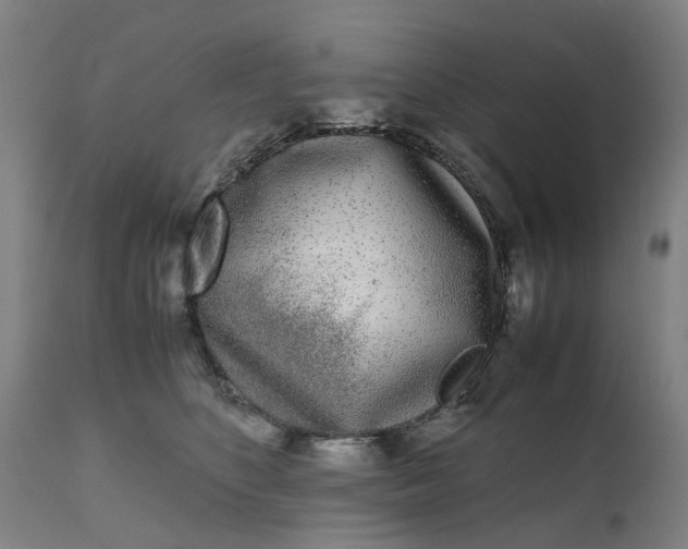 X0000111630516200907311230