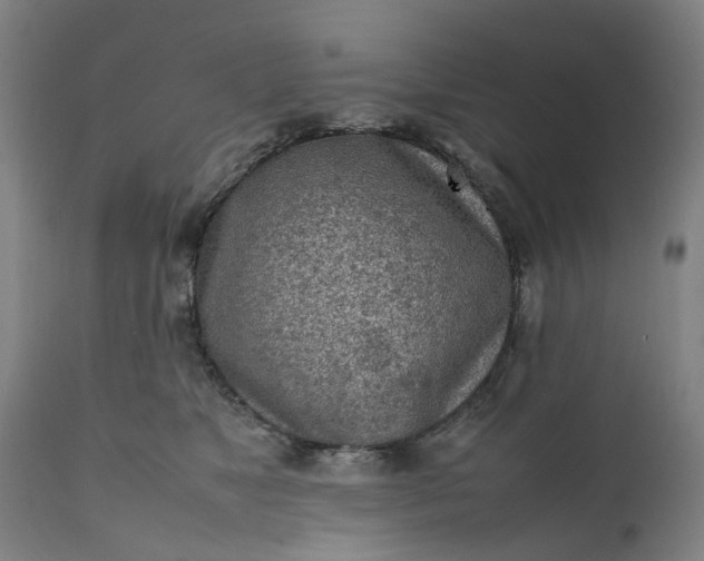 X0000111630517200907311230