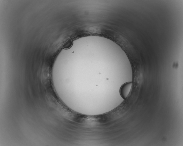 X0000111630518200907311230