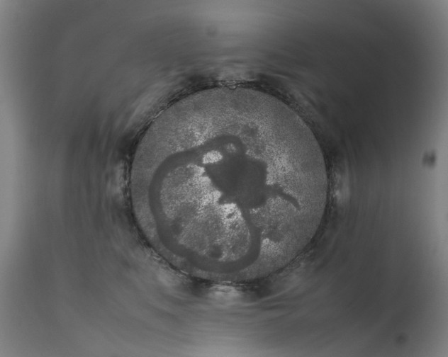 X0000111630519200907311230