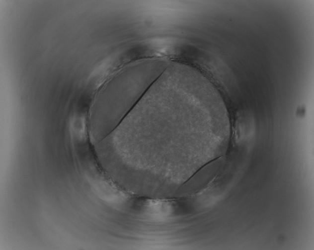 X0000111630520200907311230