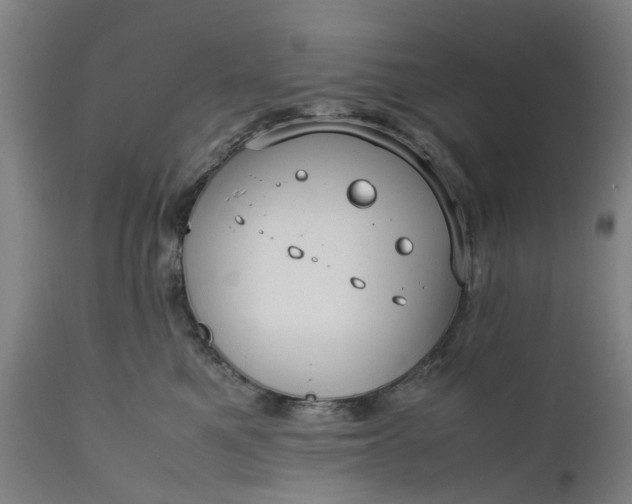 X0000111630521200907311230