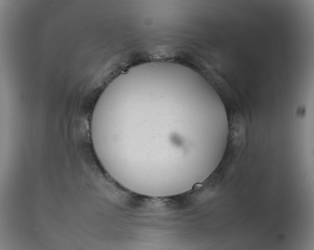 X0000111630523200907311230