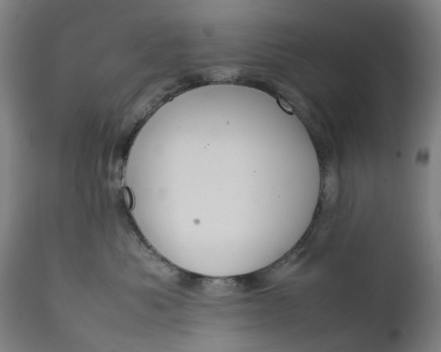 X0000111630525200907311230