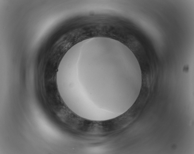 X0000111630526200907311230