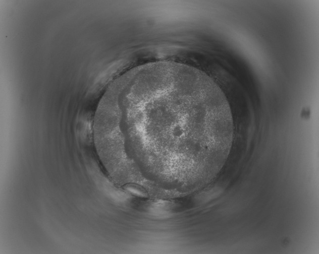 X0000111630527200907311230