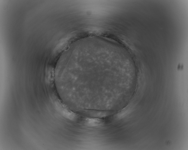 X0000111630528200907311230