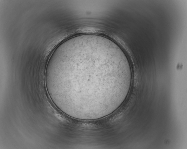 X0000111630529200907311229