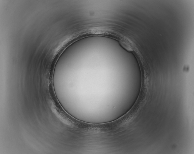 X0000111630530200907311229