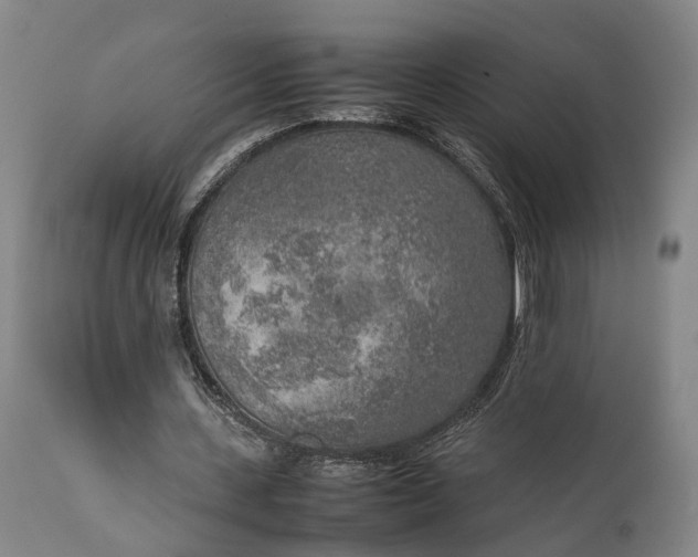 X0000111630531200907311229