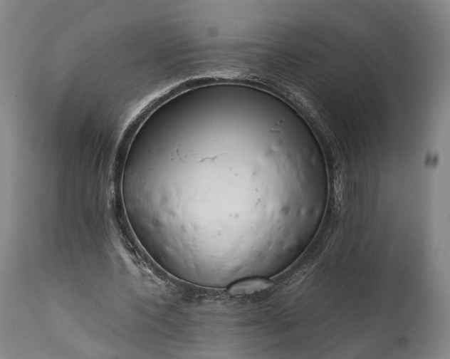 X0000111630532200907311230