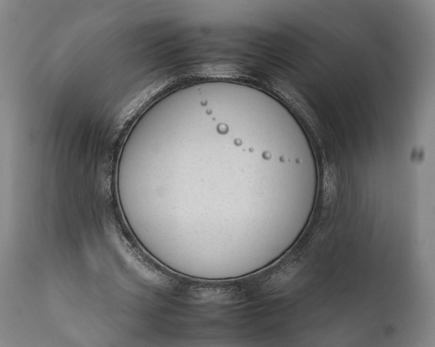 X0000111630533200907311230