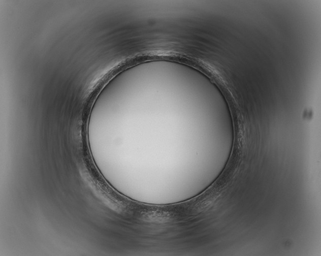 X0000111630535200907311230