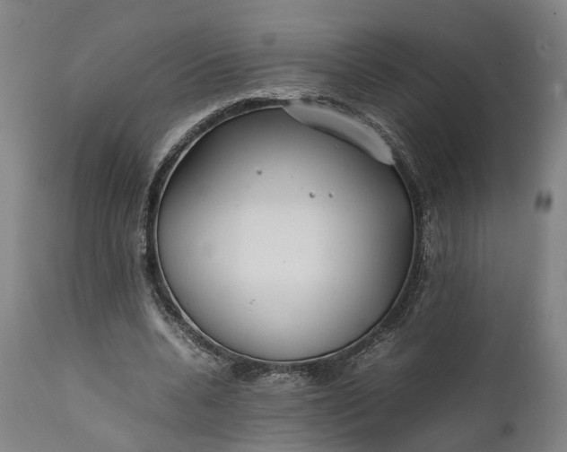 X0000111630536200907311230