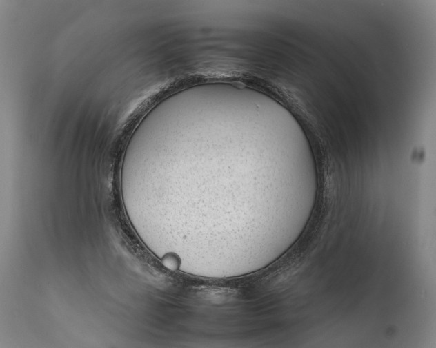 X0000111630539200907311230