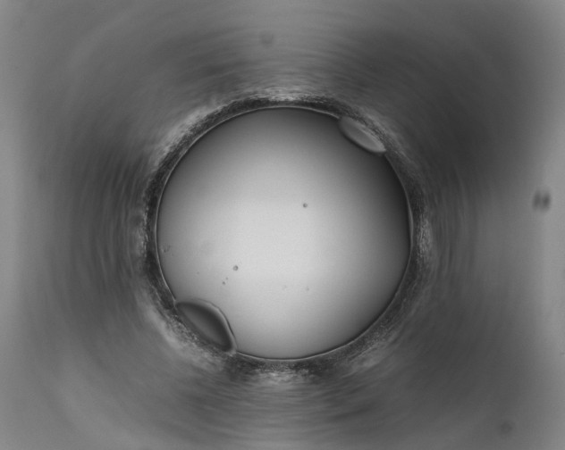 X0000111630540200907311230