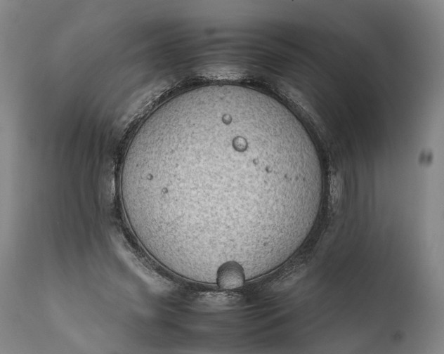 X0000111630541200907311230