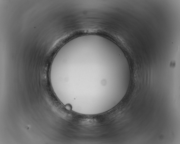 X0000111630543200907311230