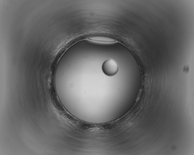 X0000111630544200907311230