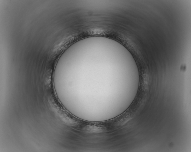 X0000111630545200907311230