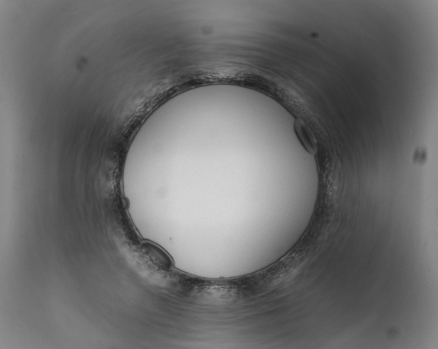 X0000111630546200907311230