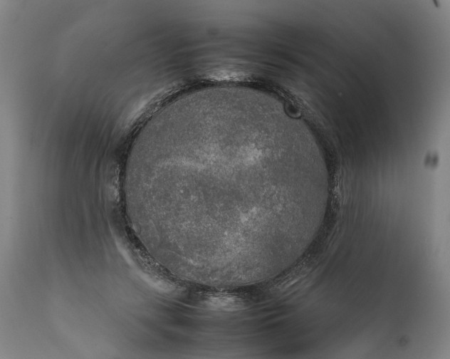 X0000111630547200907311230