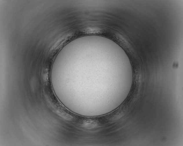 X0000111630549200907311230