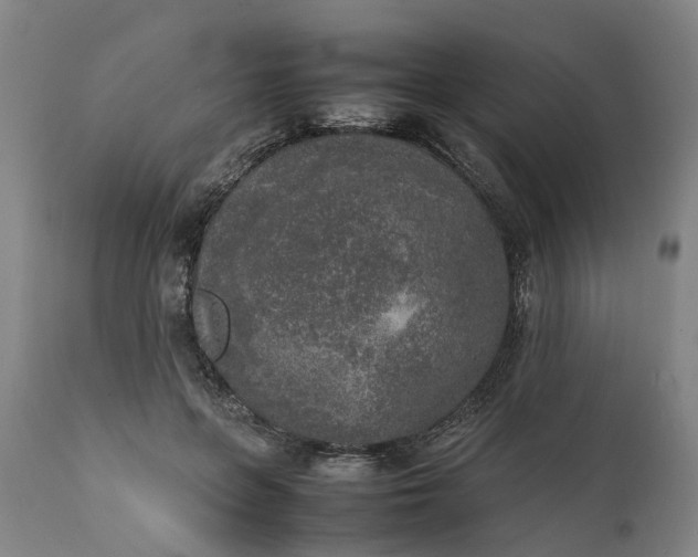 X0000111630551200907311230