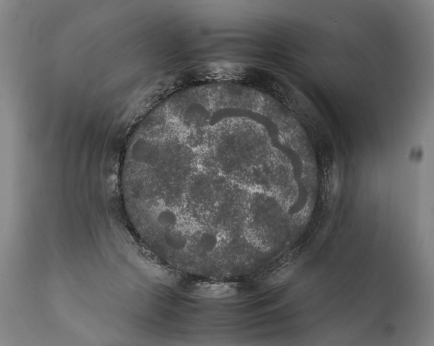 X0000111630553200907311230