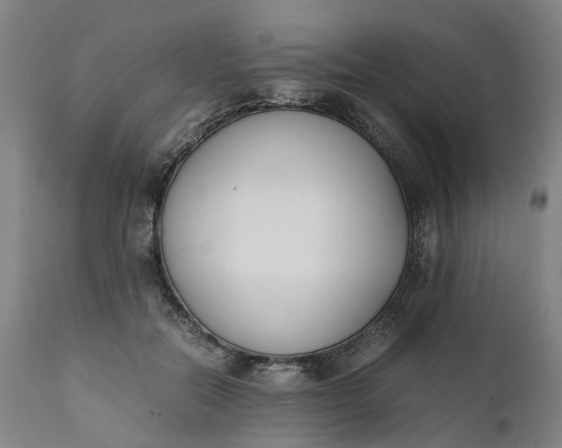 X0000111630554200907311230