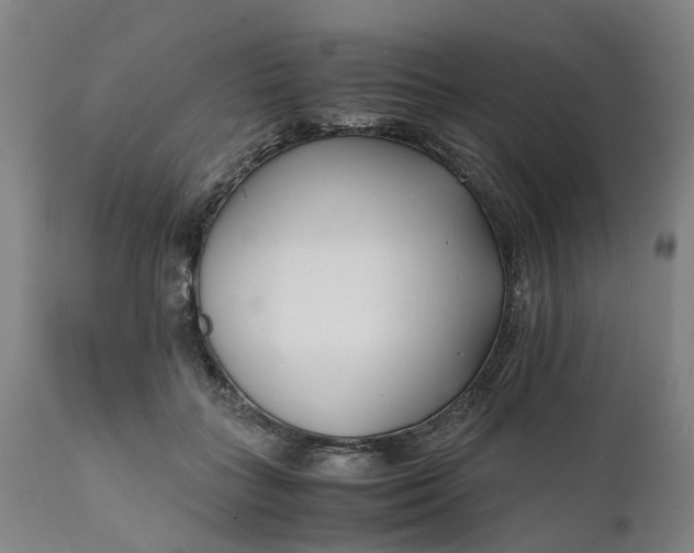 X0000111630555200907311230